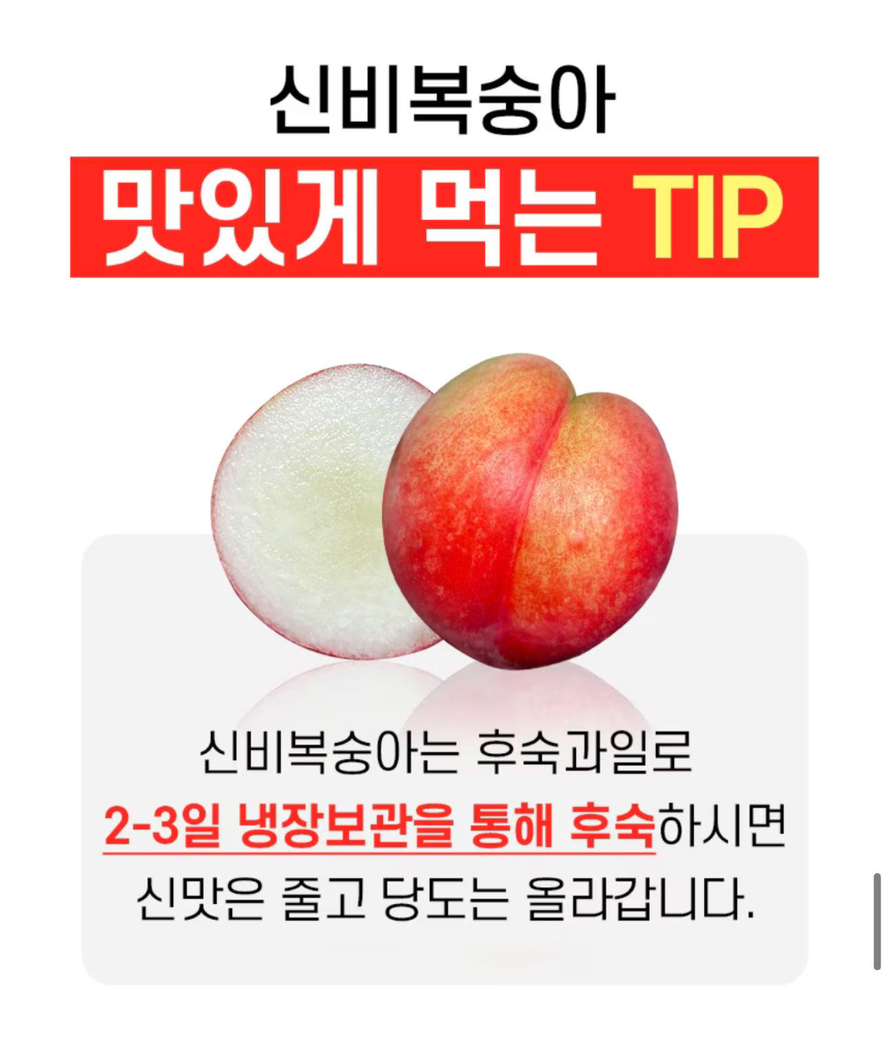 프리오더 - 25년 첫 수확! 프리미엄 신비복숭아 1.5kg 로얄과 온리 (6/18수확 -> 19 싱도착)