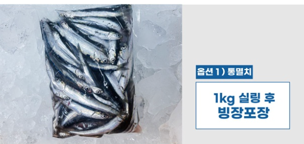 지금이 가장 맛나요, 남해안 제철 통멸치 (조림용 생멸치) 당일조업 당일발송 !