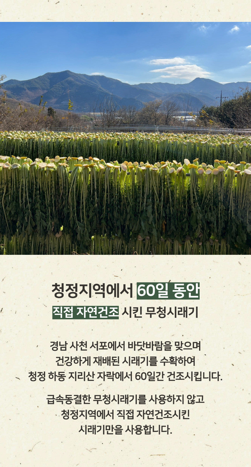 [팔도맛집] 김에 싸먹는 진짜 밥도둑! 진주 현지 그대로 담은 무청시래기 된장찌개 2인분
