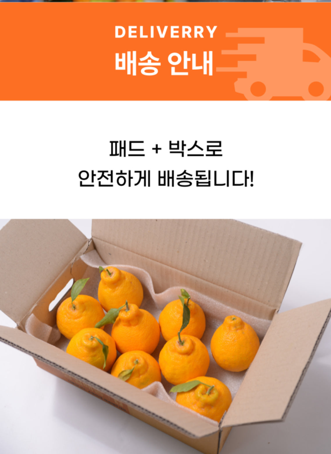 🍊제주직송 한라봉 납시오 3kg ( 15Brix ) Jeju Hanrabong 3kg