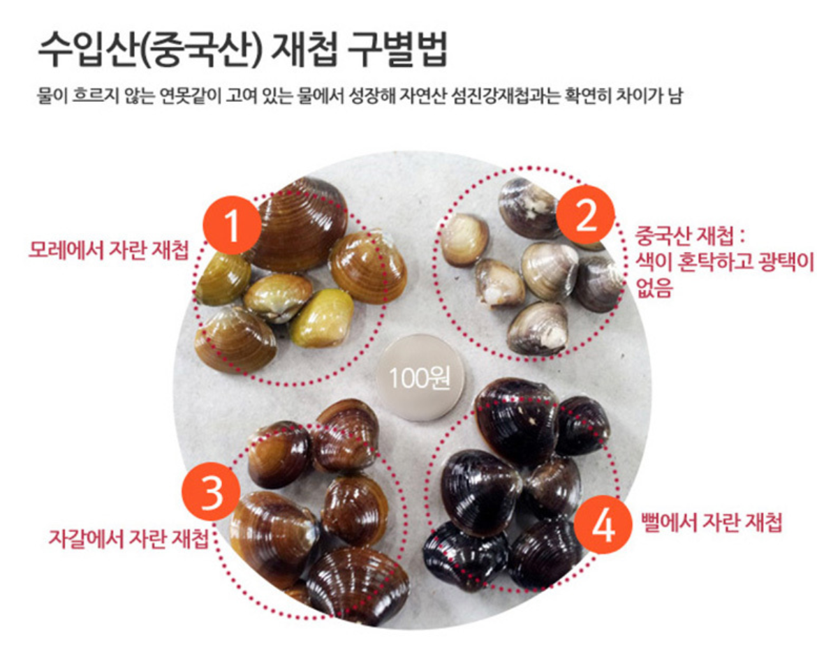 [골목맛집] 사나래 김정문의 섬진강 재첩국 500g(4팩)