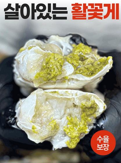 [제철] 서해안 시그니처 활 숫꽃게 1kg (3-5미) | [Seasonal] West Sea Fresh Live Male Blue Crab 1kg - Fresh Air Freight to Singapore