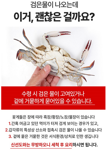 [제철] 서해안 시그니처 활 숫꽃게 1kg (3-5미) | [Seasonal] West Sea Fresh Live Male Blue Crab 1kg - Fresh Air Freight to Singapore