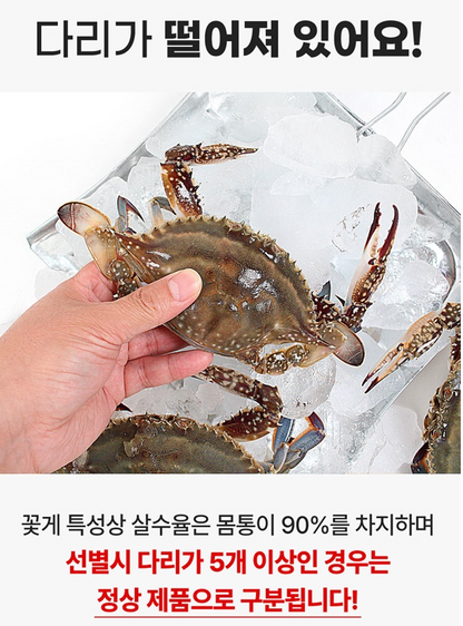 [제철] 서해안 시그니처 활 숫꽃게 1kg (3-5미) | [Seasonal] West Sea Fresh Live Male Blue Crab 1kg - Fresh Air Freight to Singapore