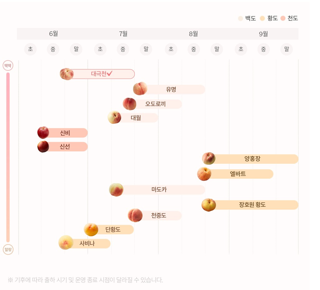 Daegukcheon Crispy White Peach 1kg (6-8 pieces)