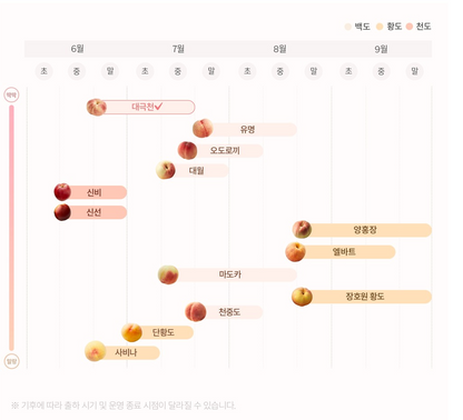 Daegukcheon Crispy White Peach 1kg (6-8 pieces)