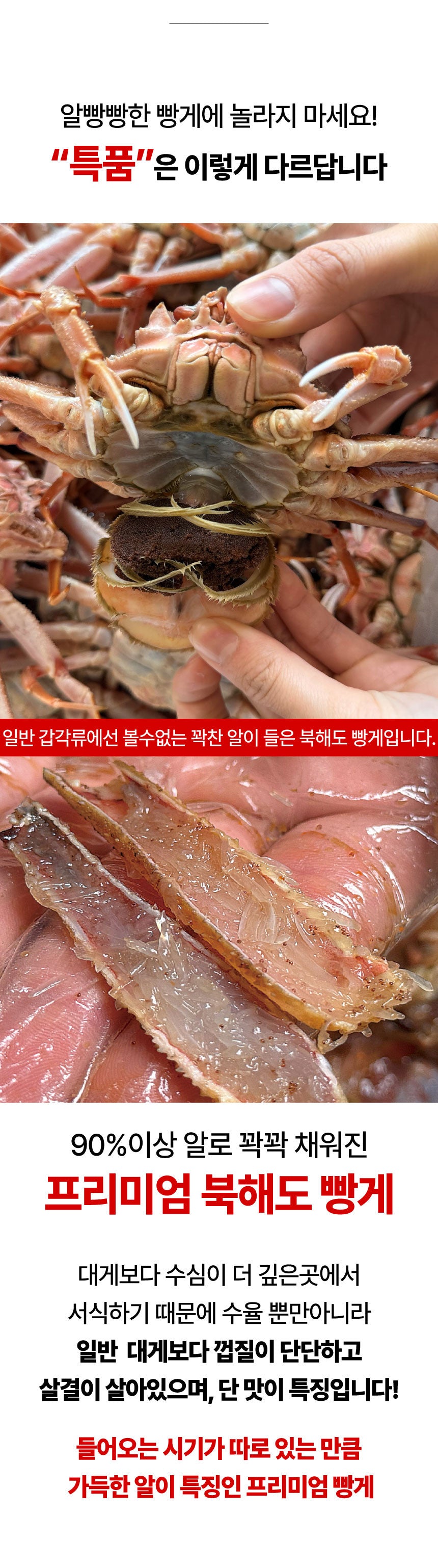 [강릉직송] 알배기 빵게 소량입고 되었어요!!