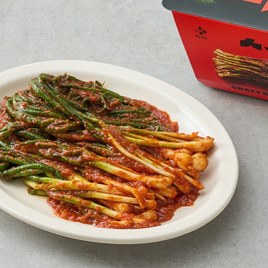 인기신상! CJ 습 실비 파김치 500g