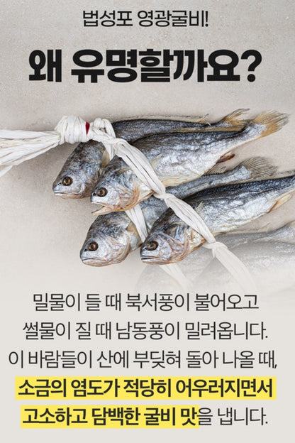[특굴비] 법성포 영광굴비 무려 20마리 특 사이즈 | Korean Premium Dried Yellow Corvina Salted Fish Gift Set Singapore Delivery