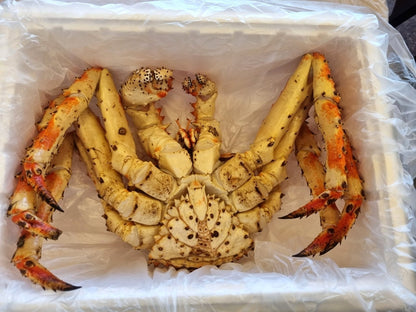 블루 킹크랩 1kg 수율 80% 이상 | 자숙Korean Premium Blue King Crab High Meat Yield Singapore Delivery