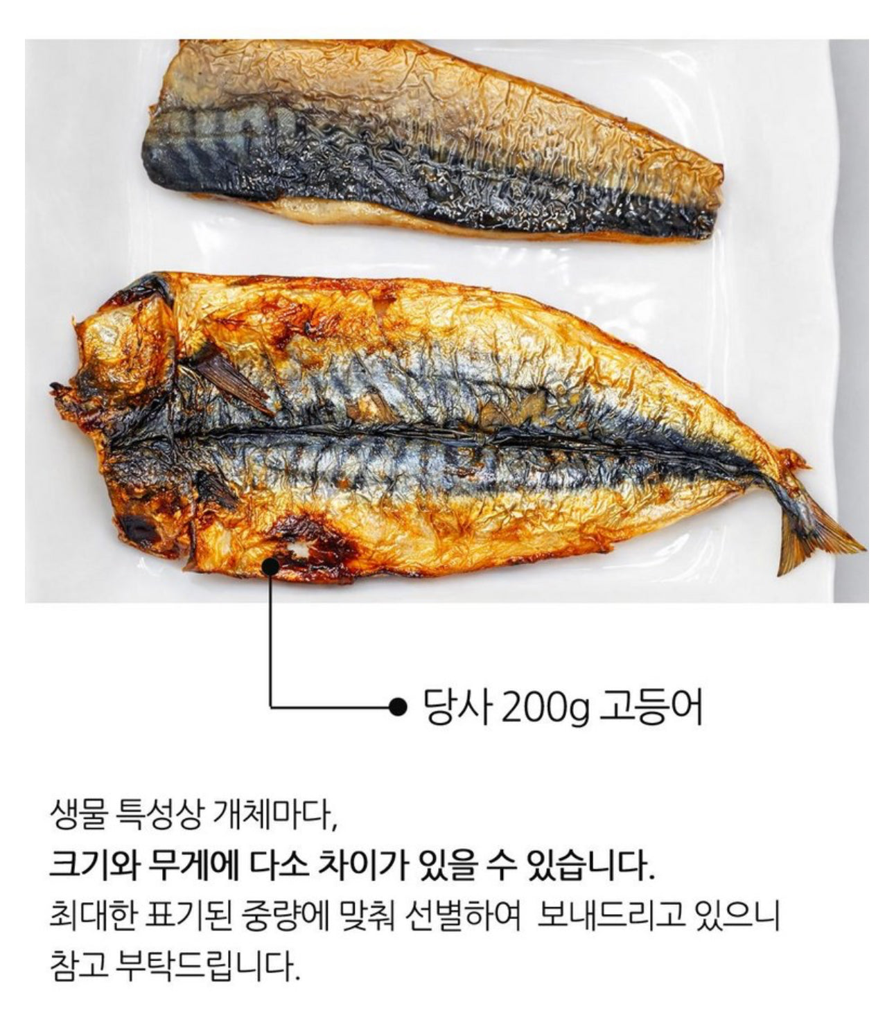 고흥 숯불 고등어 200g x 6미 | Korean Charcoal Grilled Mackerel Ready Meal Singapore Delivery