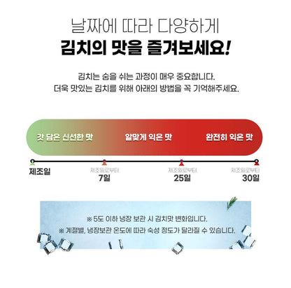 제철오이로 담궜다! 찬우물 오이소박이 3kg