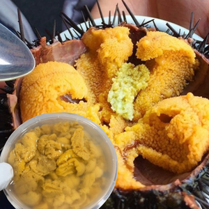 [해녀 보라성게 떳다] 홈마카세 가자.. Fresh Korean Sea Urchin Roe 100g | Premium Bora Sea Urchin Singapore Delivery