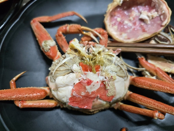 [강릉직송] 알배기 빵게 소량입고 되었어요!!
