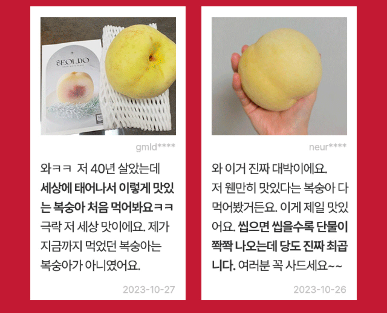 [2025 프리오더!] 설레는 첫사랑의 맛, 겨울이 주는 특별한 선물 – 정품설도 겨울복숭아 (정품설도 특특대과 4알)