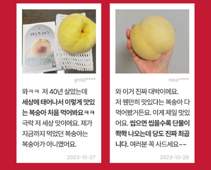 [2025 프리오더!] 설레는 첫사랑의 맛, 겨울이 주는 특별한 선물 – 정품설도 겨울복숭아 (정품설도 특특대과 4알)
