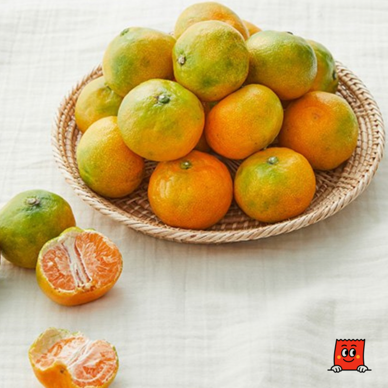 [산지직송] 새콤달콤 제주감귤 1kg