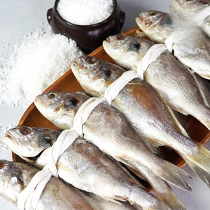 [산지직송] 임금님 밥상에 오르던 국내산 백굴비 (20미) 전통 엮걸이작업으로 보내드립니다.