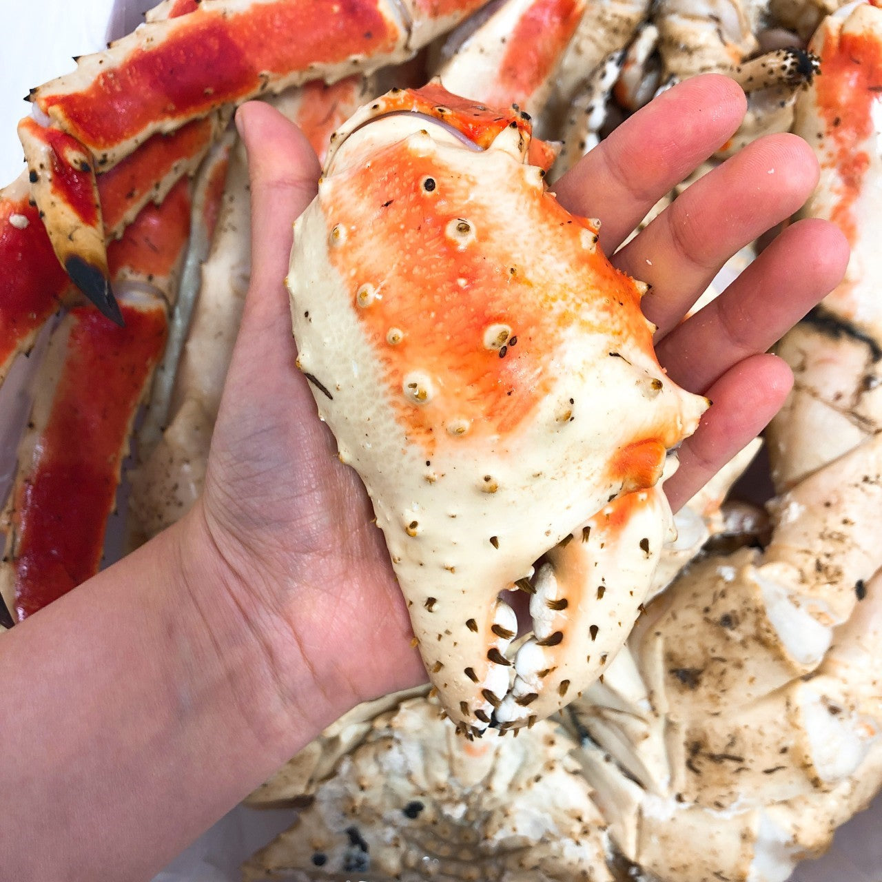 블루 킹크랩 1kg 수율 80% 이상 | 자숙Korean Premium Blue King Crab High Meat Yield Singapore Delivery