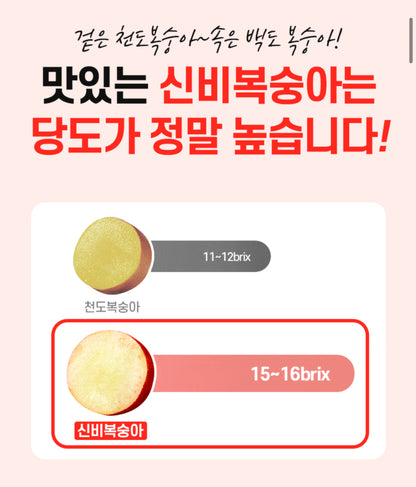 프리오더 - 25년 첫 수확! 프리미엄 신비복숭아 1.5kg 로얄과 온리 (6/18수확 -> 19 싱도착)