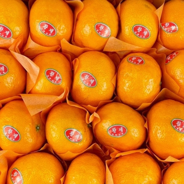 [제주산지] 이번주만! 제주 카라향 3kg (15~20과) | Korean Jeju Kara Orange Sweet Citrus Singapore Delivery