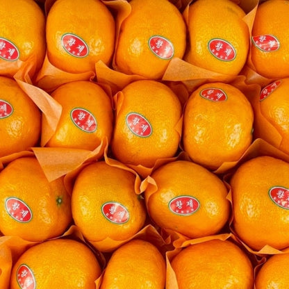 [제주산지] 이번주만! 제주 카라향 3kg (15~20과) | Korean Jeju Kara Orange Sweet Citrus Singapore Delivery