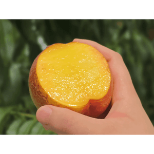 Yellow Dream Mango Peach Royal Grade 5kg - S-Hotel Supplier Farm