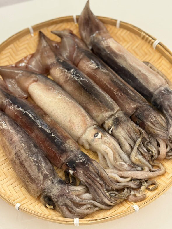 [한정판매] 국내산 급냉 통찜 초코 오징어 특대 1.2kg