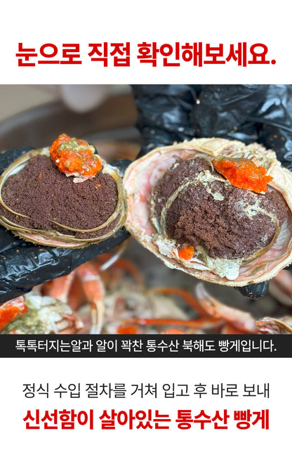 [강릉직송] 알배기 빵게 소량입고 되었어요!!