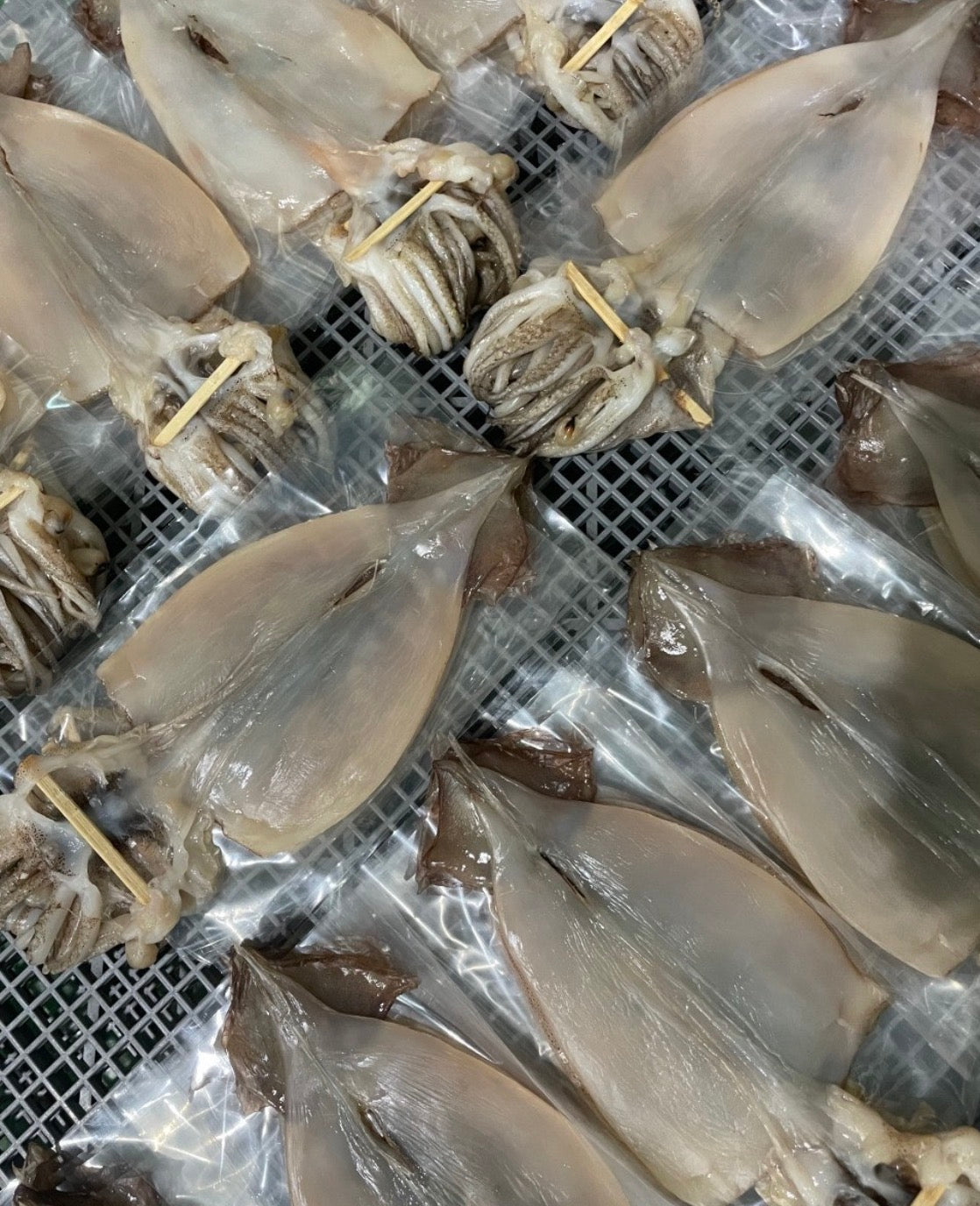 [산지직송 ! 한마리당 $5.3] 동해안 반건조 오징어 10미 (버터 포함) Korean Semi Dried Squid Butter Grill Set Singapore Delivery