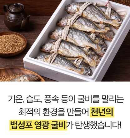 [특굴비] 법성포 영광굴비 무려 20마리 특 사이즈 | Korean Premium Dried Yellow Corvina Salted Fish Gift Set Singapore Delivery