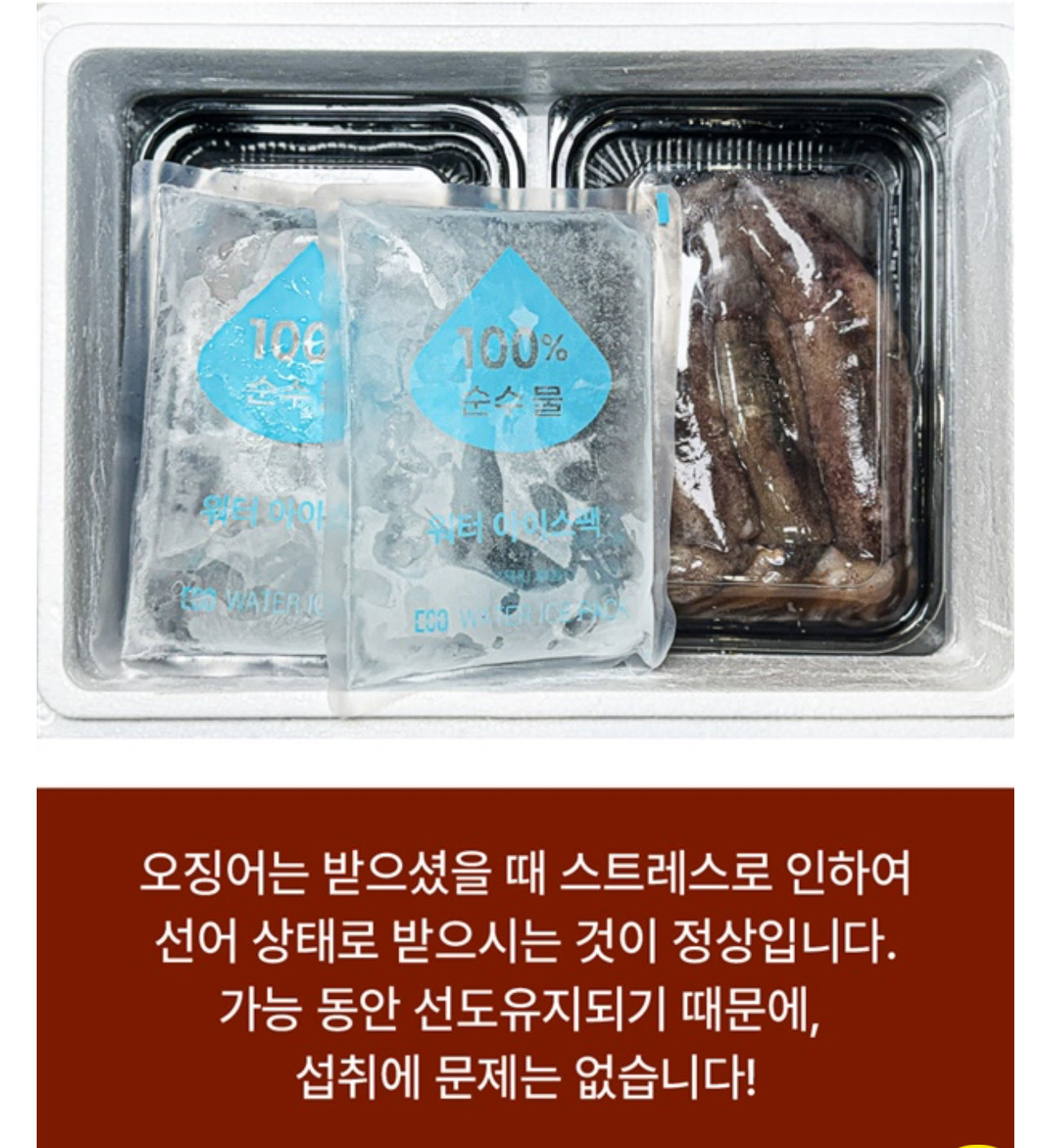 [한정판매] 국내산 급냉 통찜 초코 오징어 특대 1.2kg
