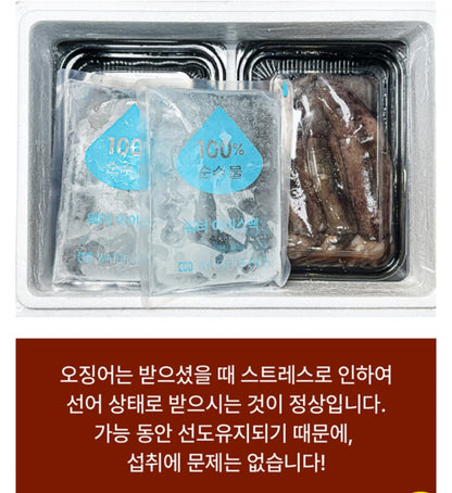 [한정판매] 국내산 급냉 통찜 초코 오징어 특대 1.2kg