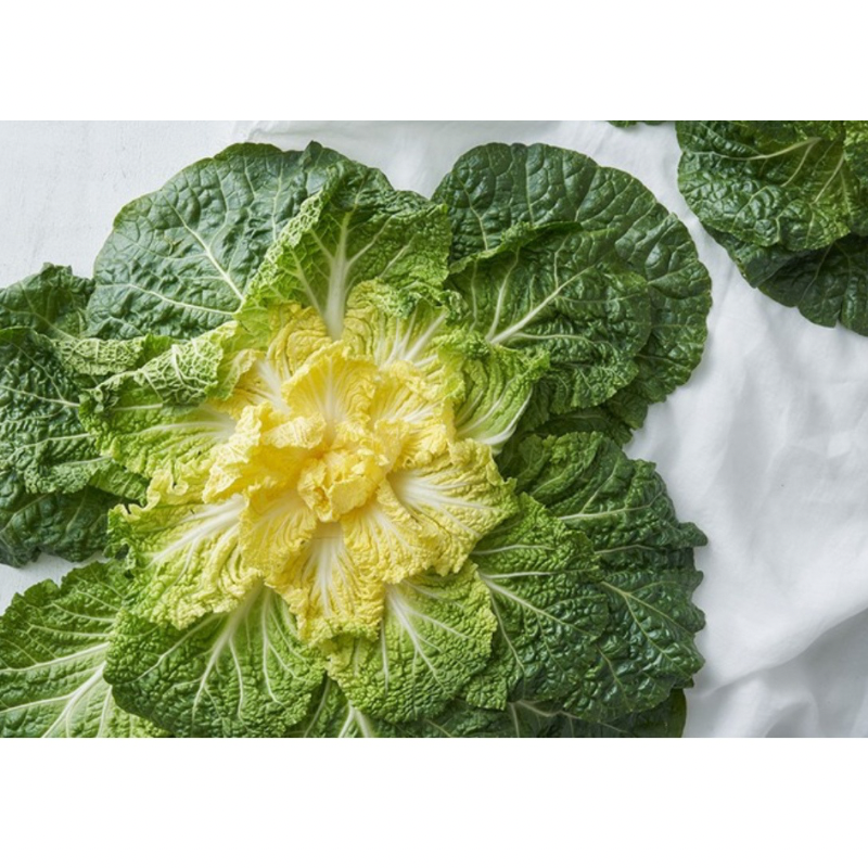 [제철] 한국 봄동 400g｜Sweet Korean Spring Cabbage · Fresh Air Delivery Singapore