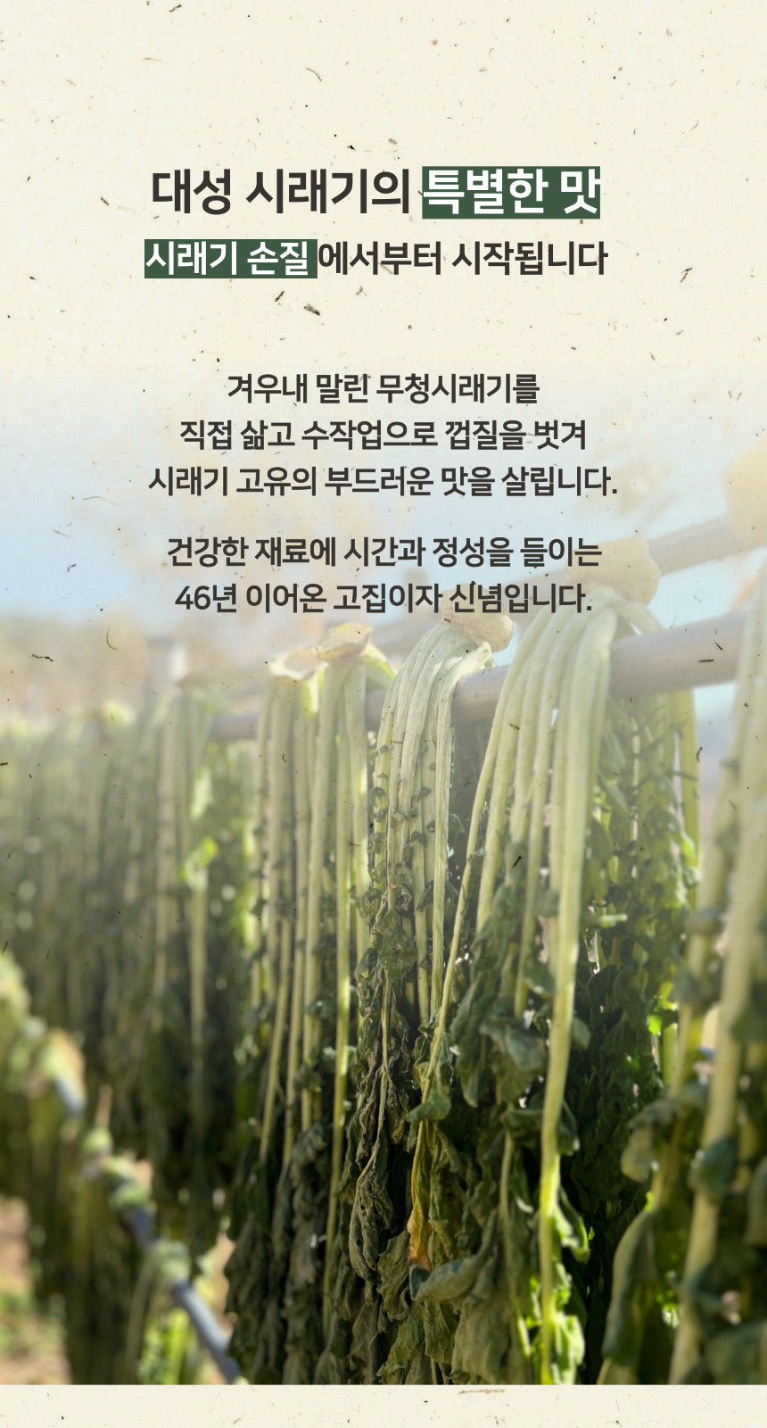[팔도맛집] 김에 싸먹는 진짜 밥도둑! 진주 현지 그대로 담은 무청시래기 된장찌개 2인분