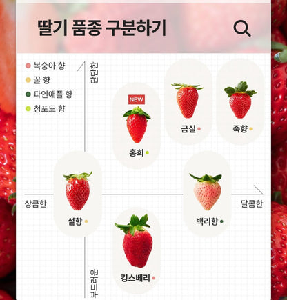 떳다 죽향 프리미엄급 딸기 500g 1팩