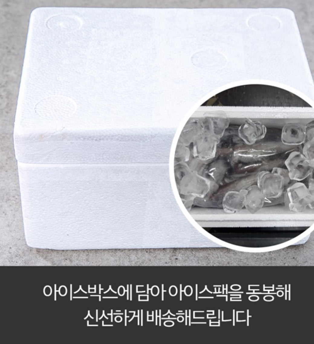 [산지직송] 국내산 급냉 통찜 초코 오징어 1kg