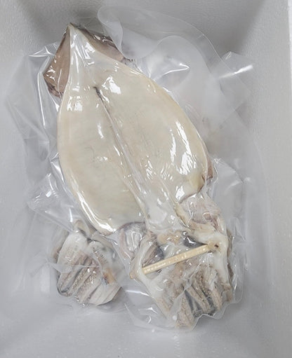 [산지직송 ! 한마리당 $5.3] 동해안 반건조 오징어 10미 (버터 포함) Korean Semi Dried Squid Butter Grill Set Singapore Delivery