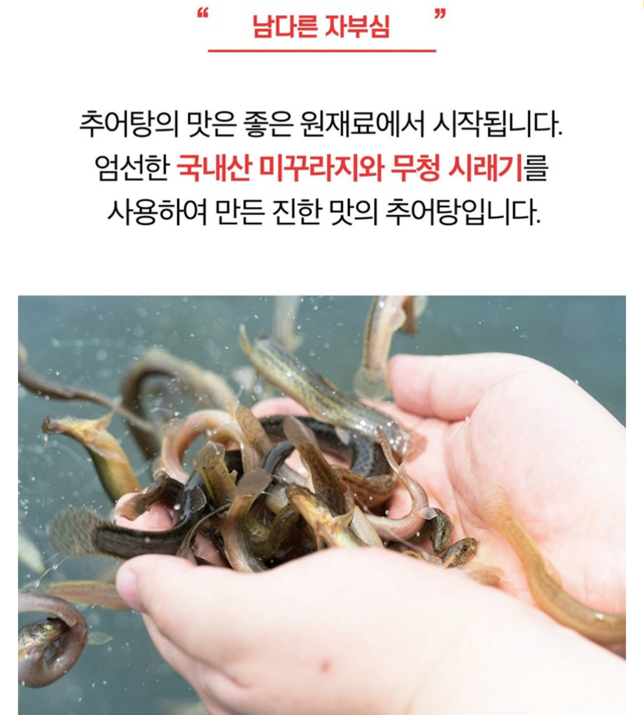 [남가네] 남가네 설악추어탕 맛집 밀키트 450g 4팩 세트 (실온가능)