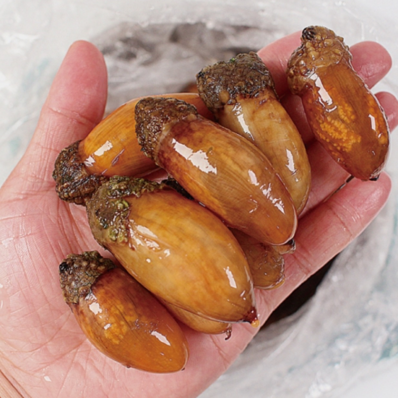 [산지직송] 통영 진동 제철 활 미더덕 ‼️