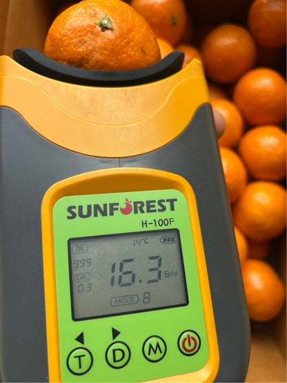 [제주산지] 이번주만! 제주 카라향 3kg (15~20과) | Korean Jeju Kara Orange Sweet Citrus Singapore Delivery