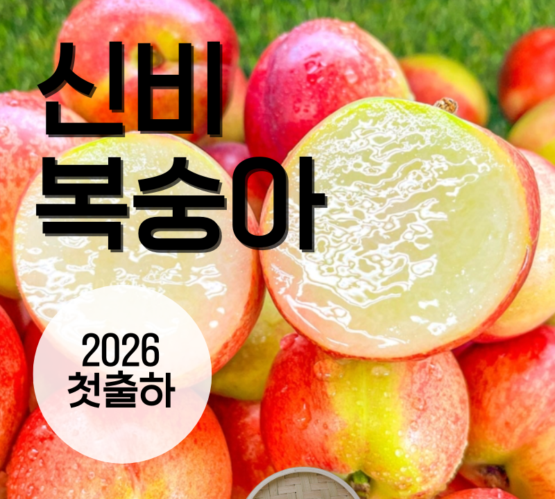 2026 First Harvest Premium Sinbi Peach 1.5kg